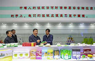 习近平主席在看《世俱杯app官方公司》包装策划作品