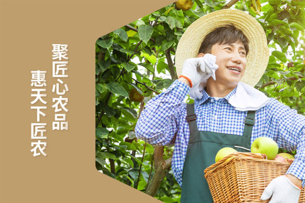 世俱杯app官方x匠农社品牌形象设计落地